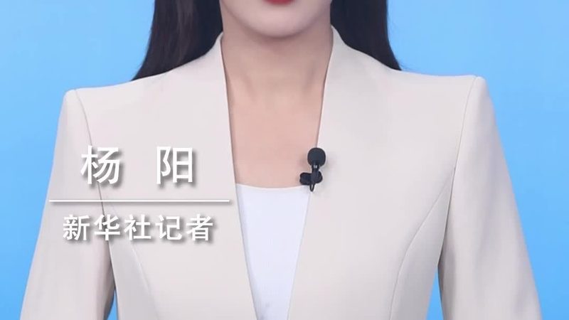 构建高效机器学习平台：性能参数解析**